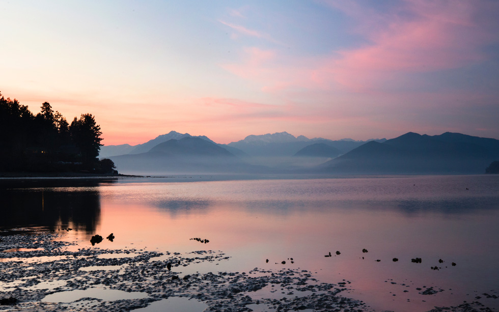 PCC Climate Week Event: A Green and Just Recovery from the Global Pandemic