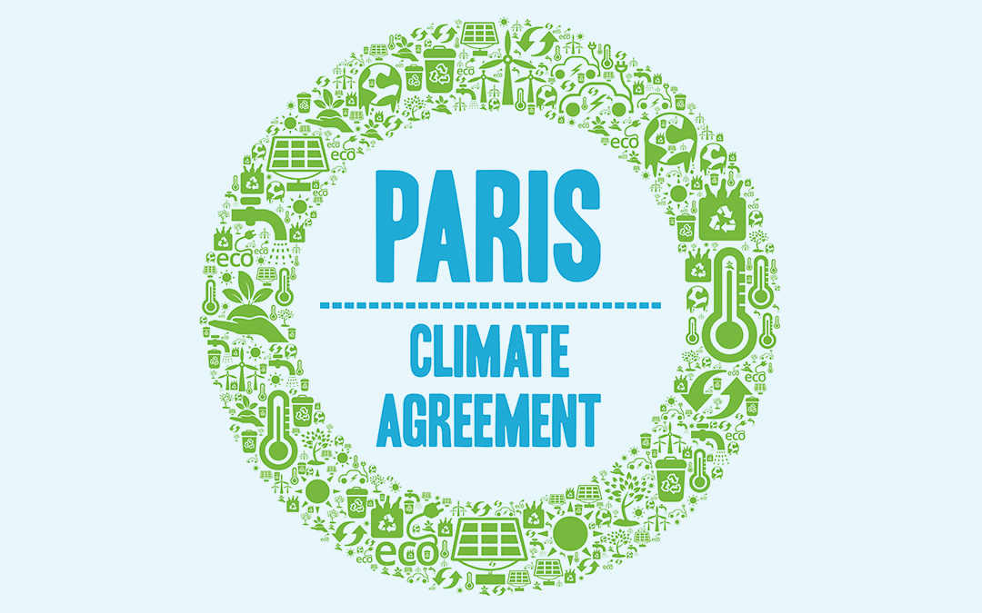 article 13 of the paris agreement