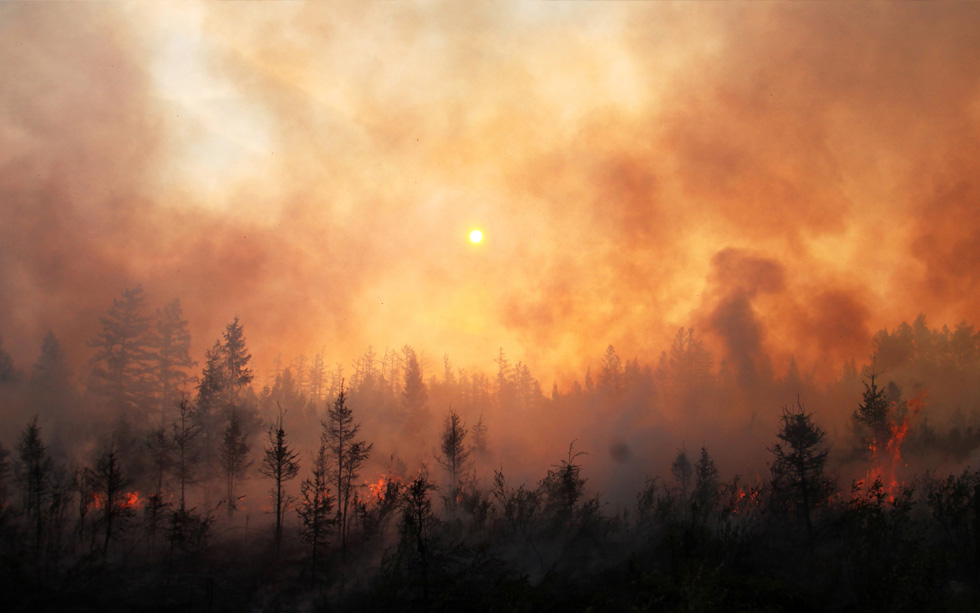 Climate Resilience on the Pacific Coast: Framework for Collaborative Action