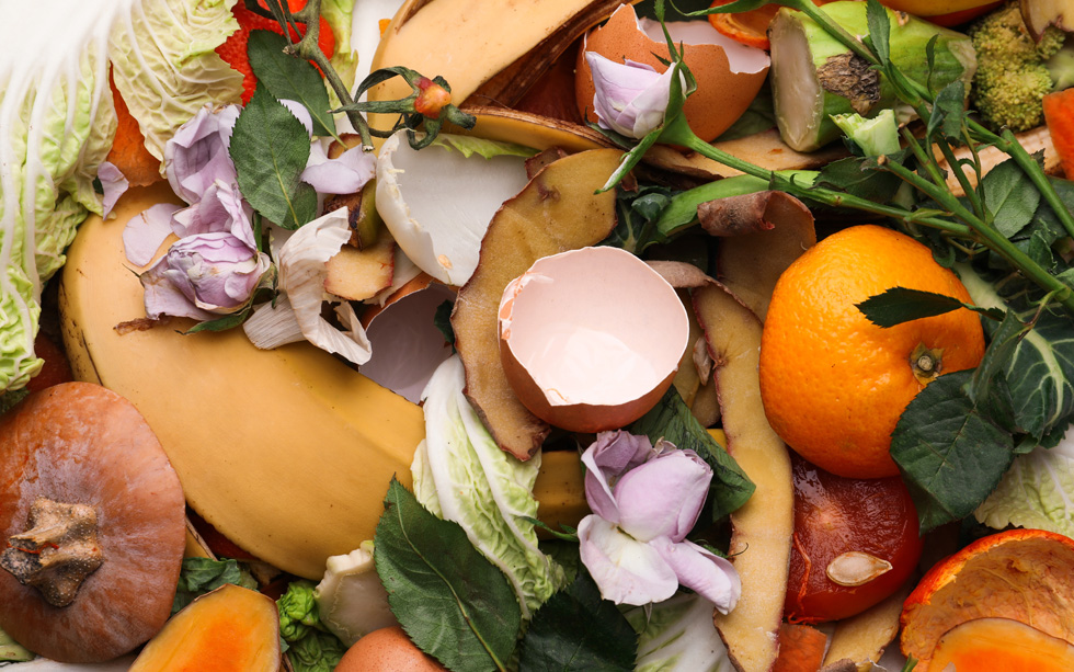 Fighting Climate Change Through Food Waste Reduction